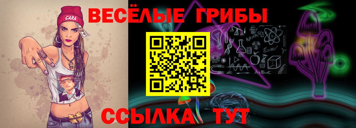 Борисоглебск  Псилоцибиновые грибы Cubensis  Галлюциногенные грибы Psilocybine cubensis  Вход с VPN 
